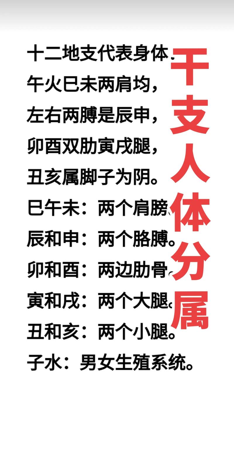 易经学习：古老智慧在现代的应用与启发